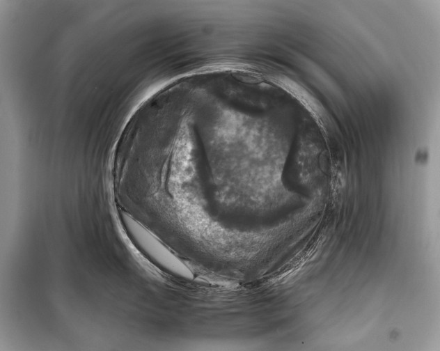 X0000099291055200805161321