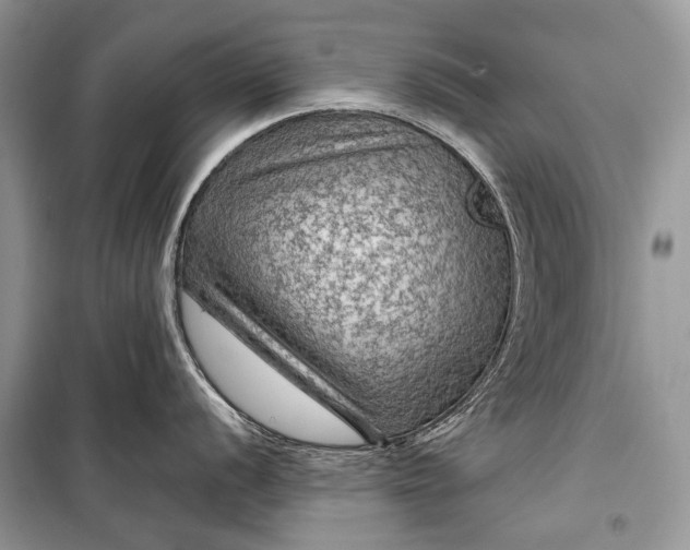 X0000099291056200805161321