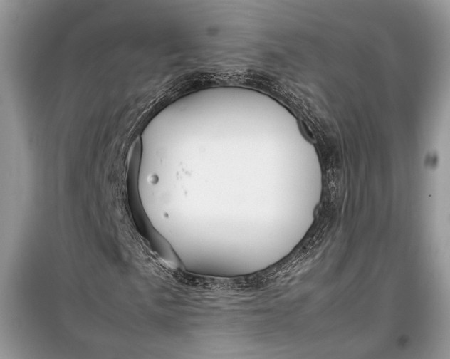 X0000099291057200805161320