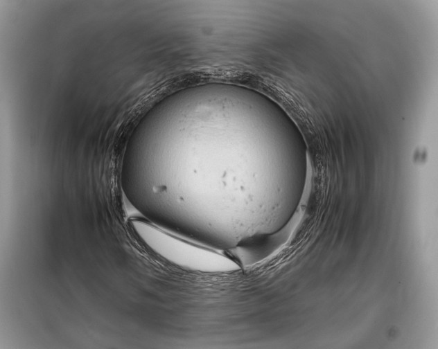 X0000099291058200805161320