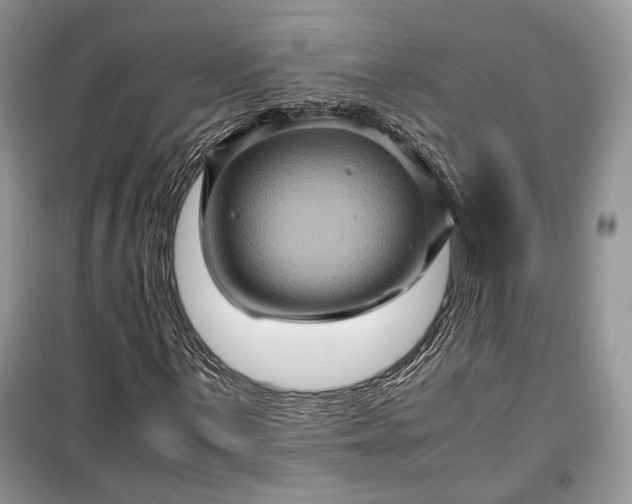 X0000099291059200805161320