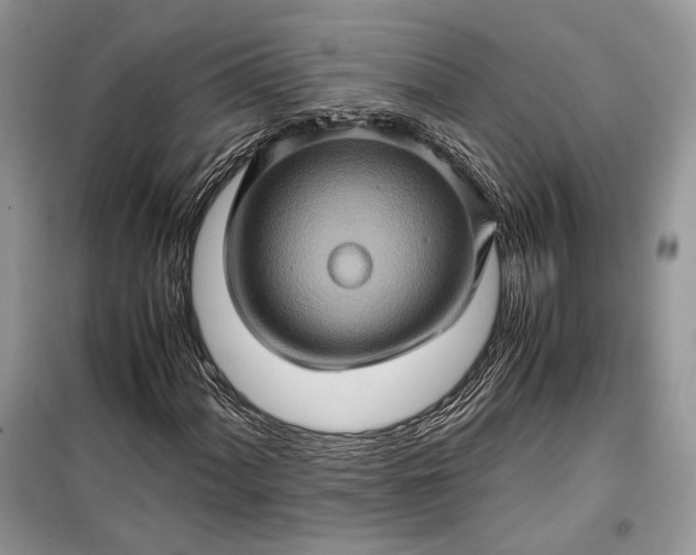 X0000099291060200805161320