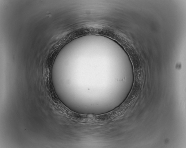 X0000099291061200805161320