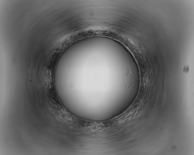 X0000099291062200805161320