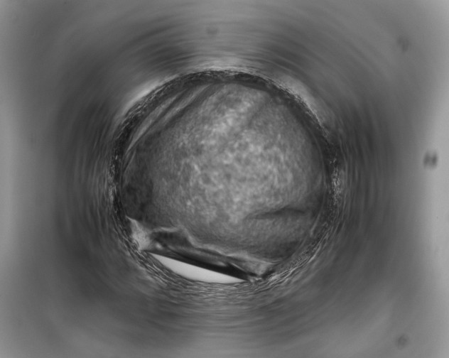 X0000099291064200805161320