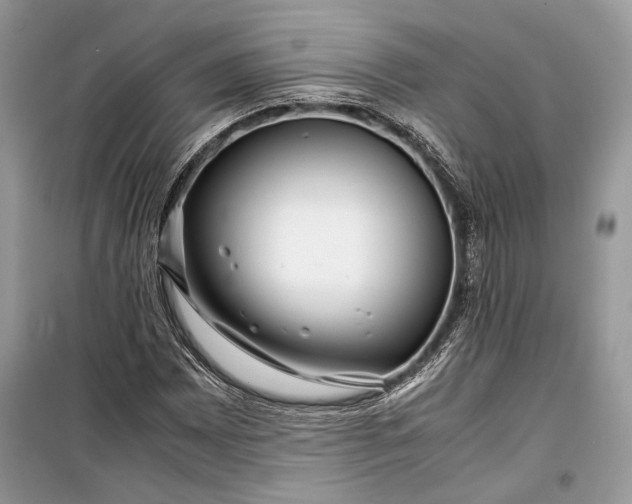 X0000099291065200805161320