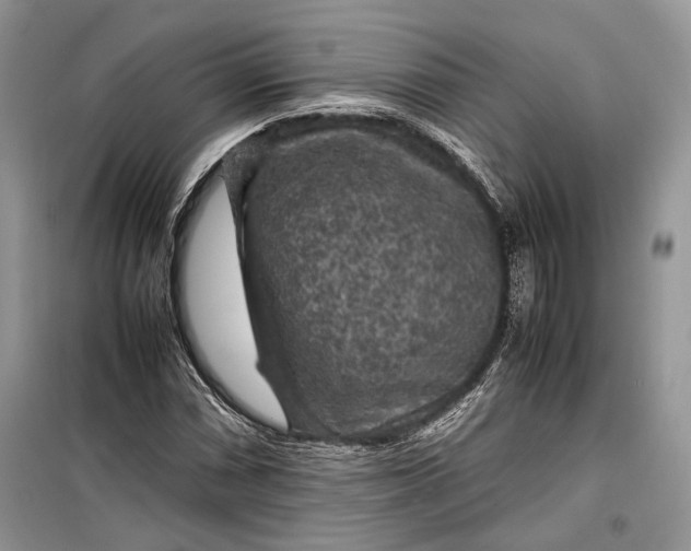 X0000099291066200805161320