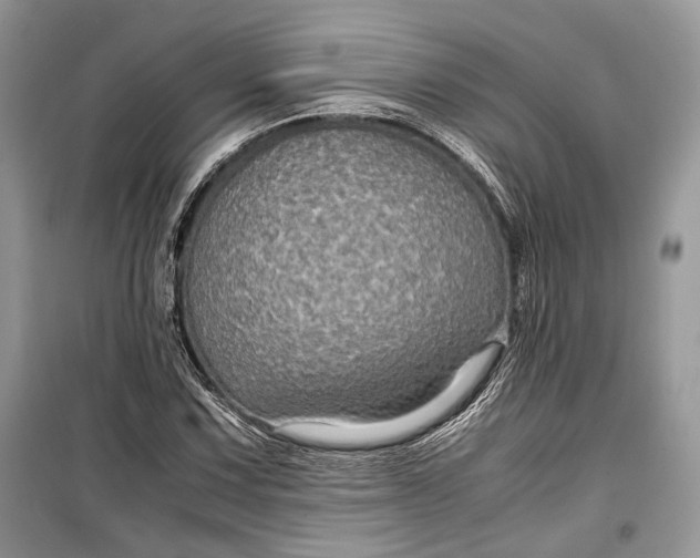 X0000099291067200805161320