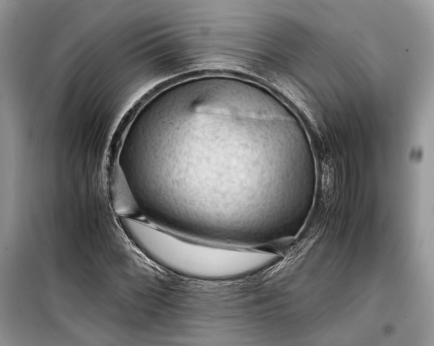 X0000099291068200805161320