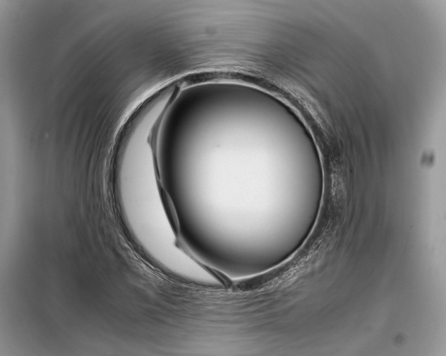 X0000099291069200805161320