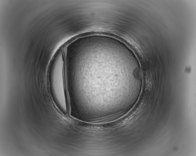 X0000099291070200805161320