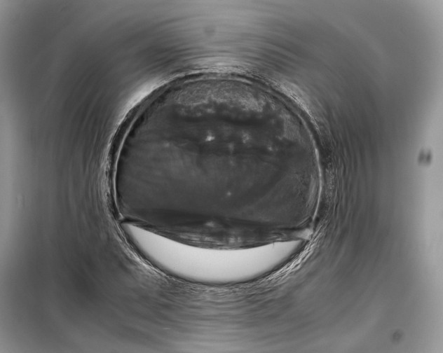 X0000099291071200805161320