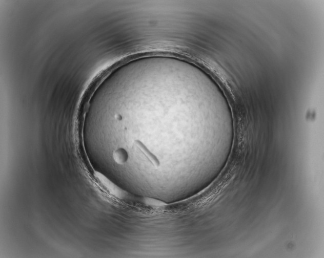 X0000099291072200805161320