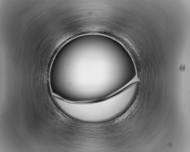 X0000099291073200805161320