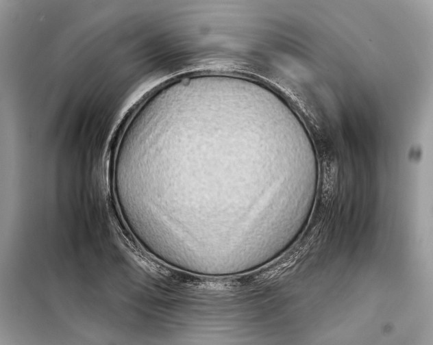 X0000099291078200805161319