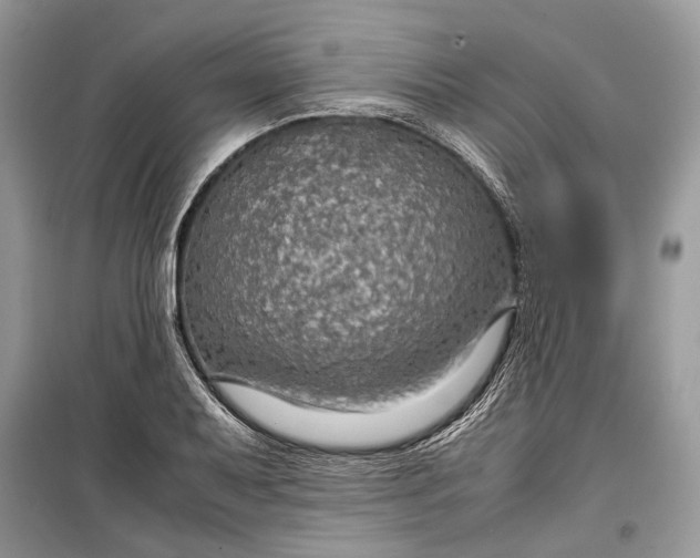 X0000099291079200805161319