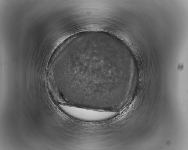 X0000099291081200805161319