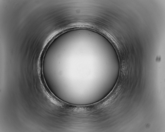 X0000099291082200805161319