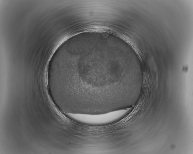 X0000099291083200805161319