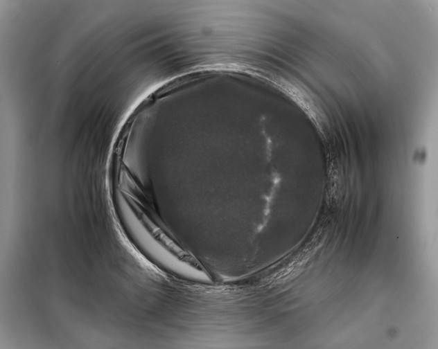 X0000099291084200805161319