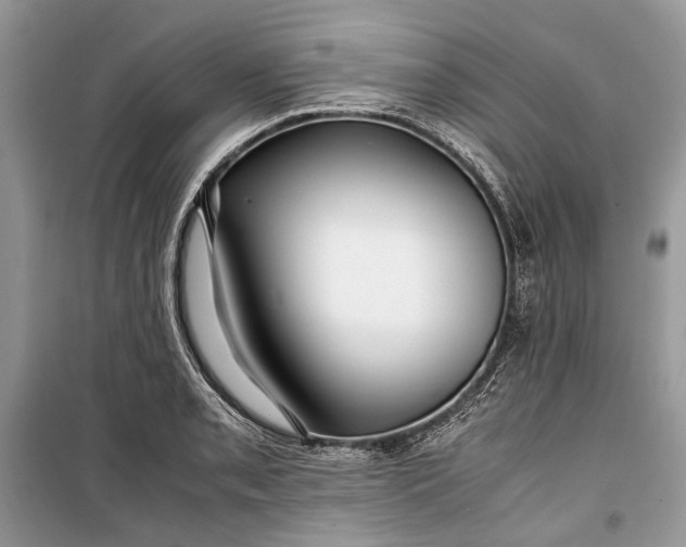 X0000099291085200805161319