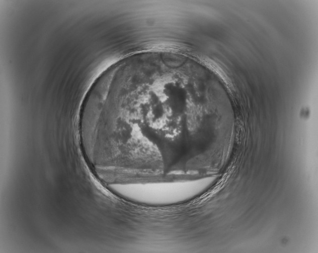 X0000099291087200805161319