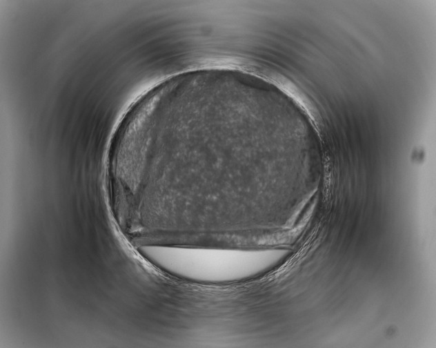 X0000099291088200805161319