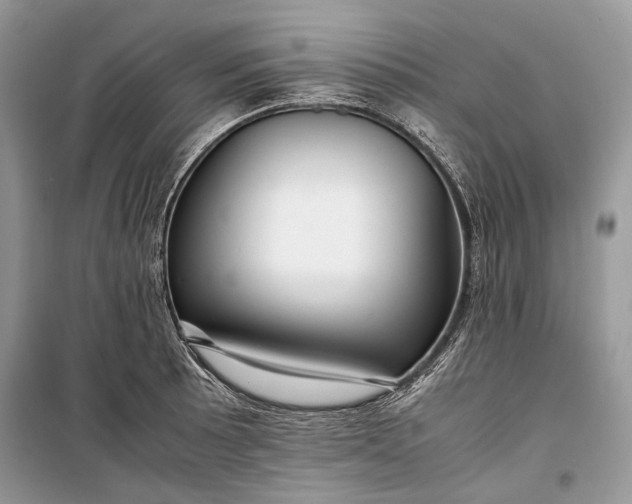 X0000099291089200805161319