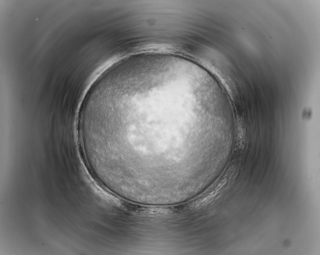 X0000099291090200805161319