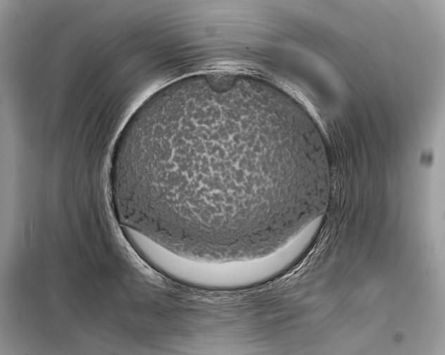 X0000099291091200805161319