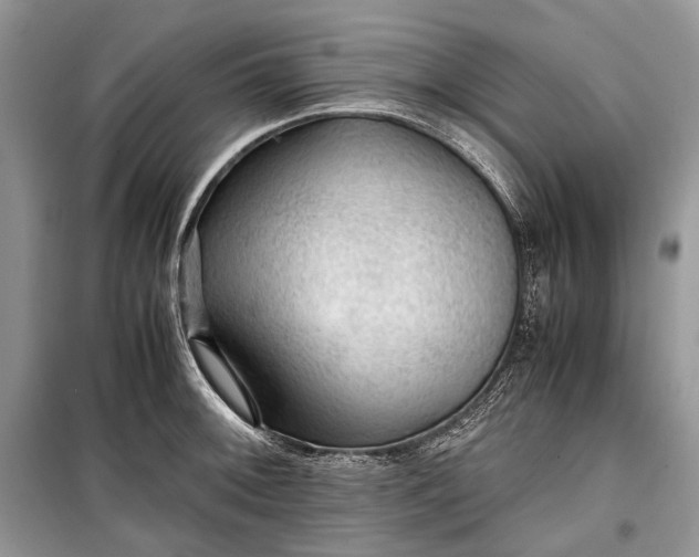 X0000099291092200805161319