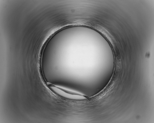 X0000099291093200805161319