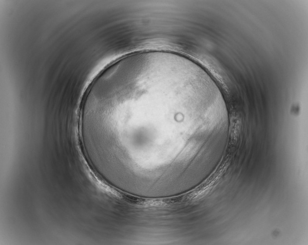 X0000099291094200805161319