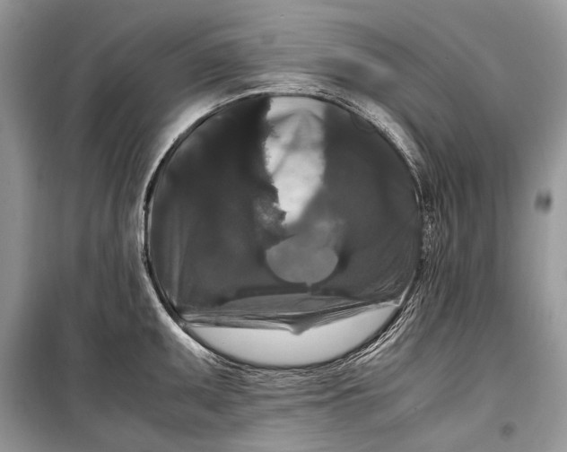 X0000099291095200805161319