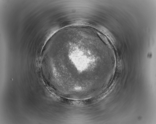 X0000099291097200805161319