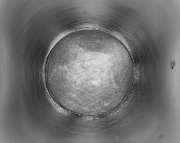 X0000099291098200805161319