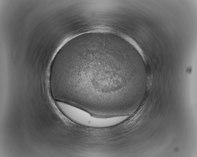 X0000099291099200805161319