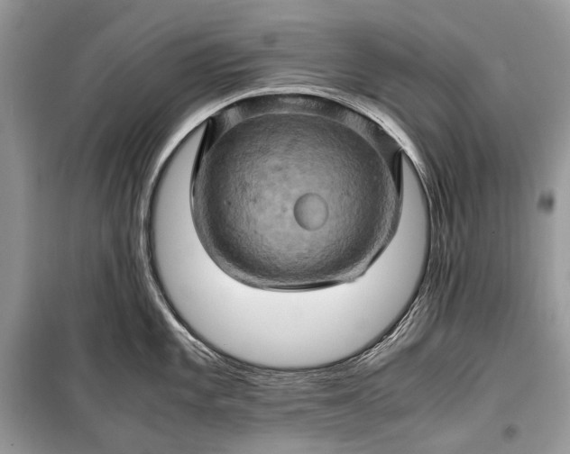 X0000099291101200805161319