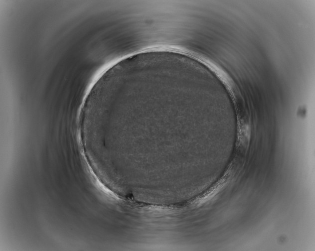 X0000099291102200805161319