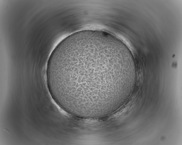 X0000099291103200805161319