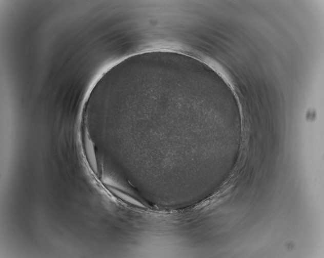 X0000099291104200805161319