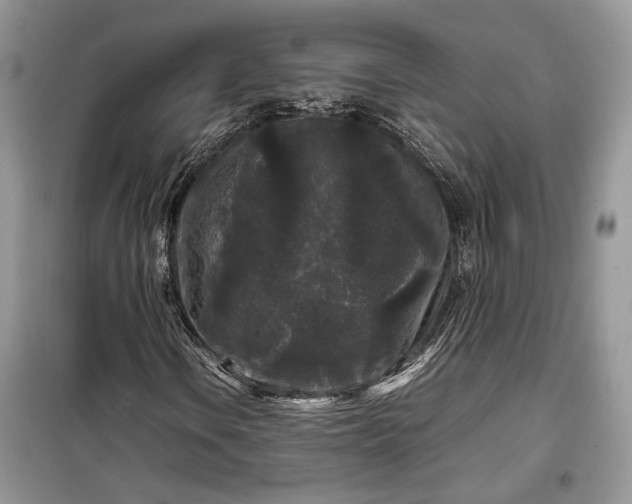 X0000099291106200805161318