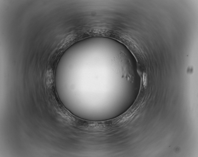 X0000099291107200805161318