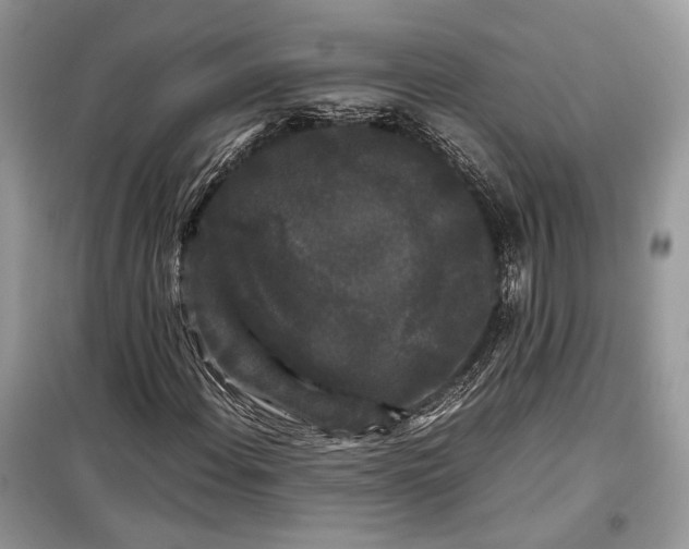 X0000099291108200805161318