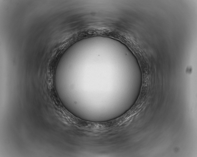 X0000099291109200805161318