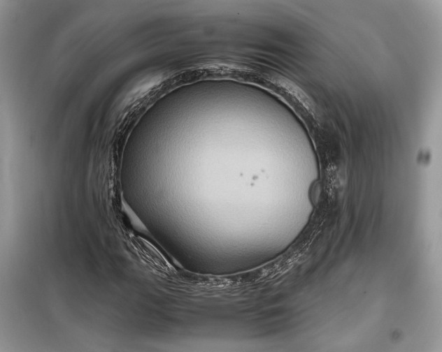 X0000099291111200805161318