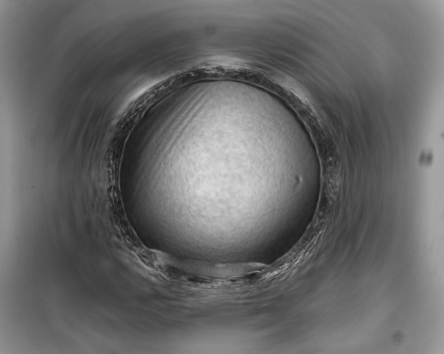 X0000099291112200805161318