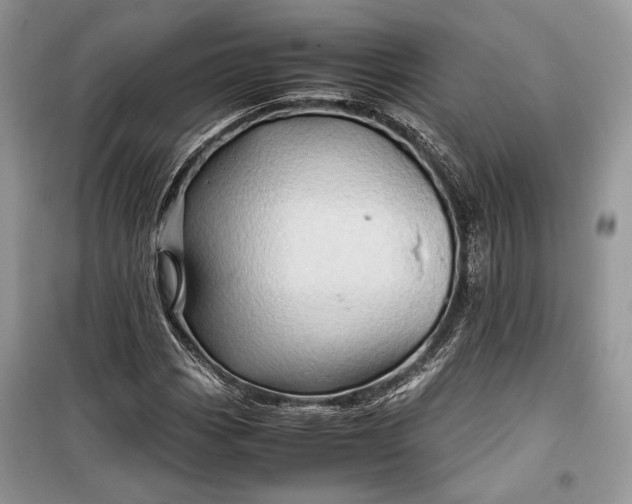 X0000099291113200805161318