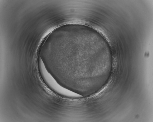 X0000099291114200805161319