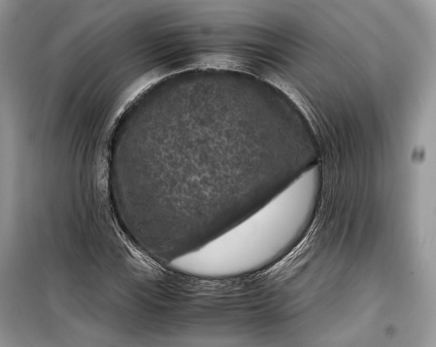 X0000099291115200805161319